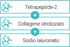 Schema Stimulate IT